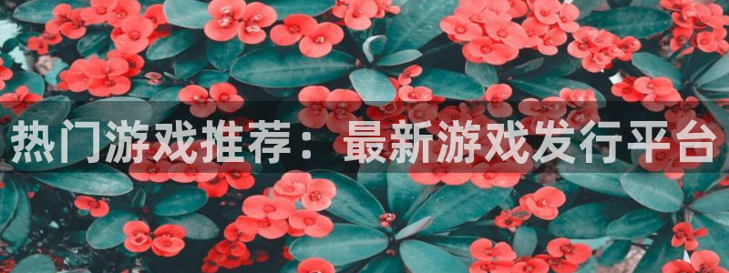 杏耀官网客服服务：热门游戏推荐：最新游戏发行平台