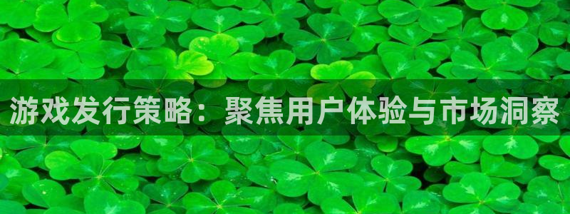 陕西杏耀子文化创意有限公司1：游戏发行策略：聚焦用户体验与市场洞察