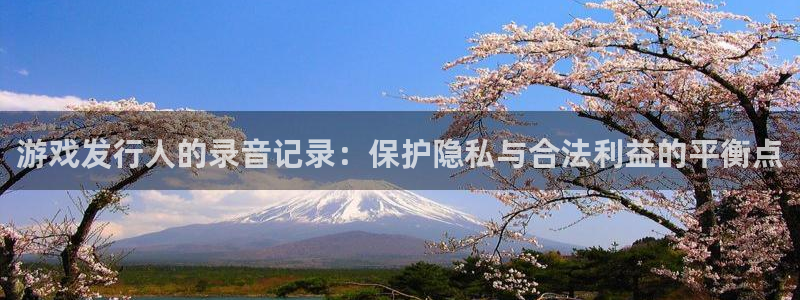 我想看杏耀：游戏发行人的录音记录：保护隐私与合法利益的平衡点