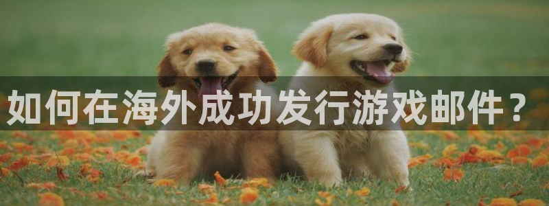 杏耀官网注册登录：如何在海外成功发行游戏邮件？
