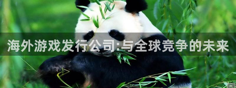杏耀服装品牌怎么样：海外游戏发行公司:与全球竞争的未来