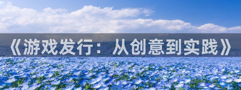 杏耀子怎么来的：《游戏发行：从创意到实践》