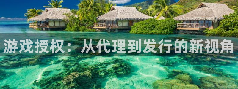 杏耀子文化是干什么的：游戏授权：从代理到发行的新视角