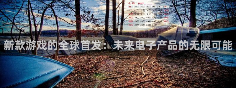 杏耀干红葡萄酒750毫升多少钱：新款游戏的全球首发：未来电子产品的无限可能