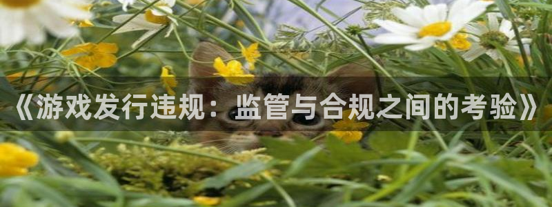 杏耀官网登录注册账号失败怎么办：《游戏发行违规：监管与合规之间的考验》