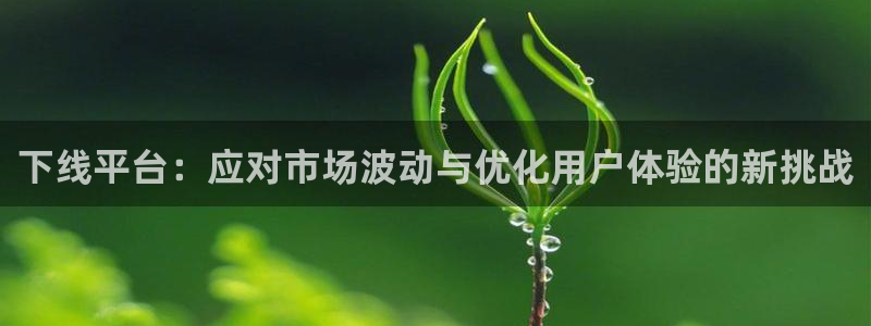 江苏杏耀人力资源有限公司怎么样：下线平台：应对市场波动与优化用户体验的新挑战