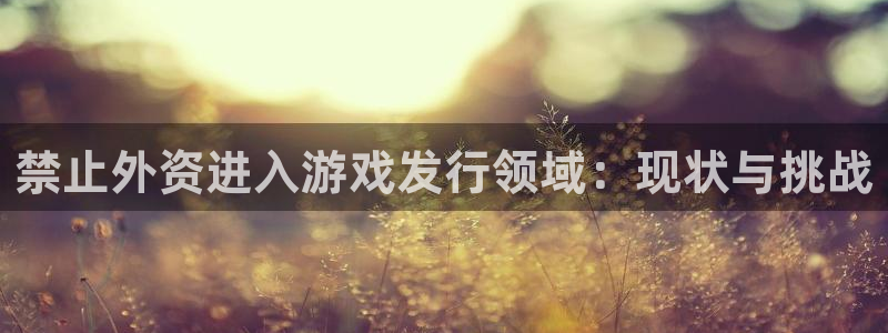 杏耀怪兽