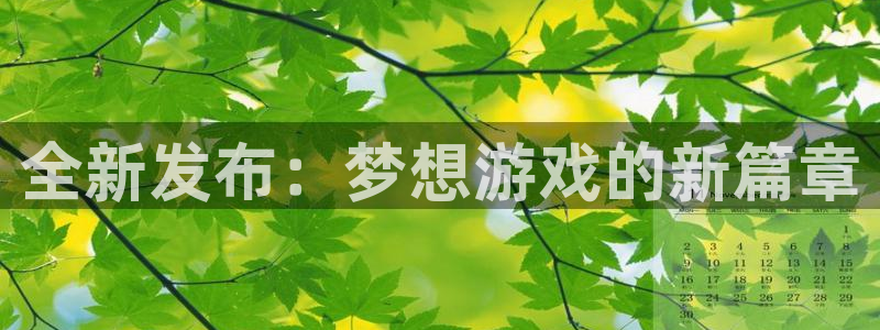 杏耀官网注册方法：全新发布：梦想游戏的新篇章